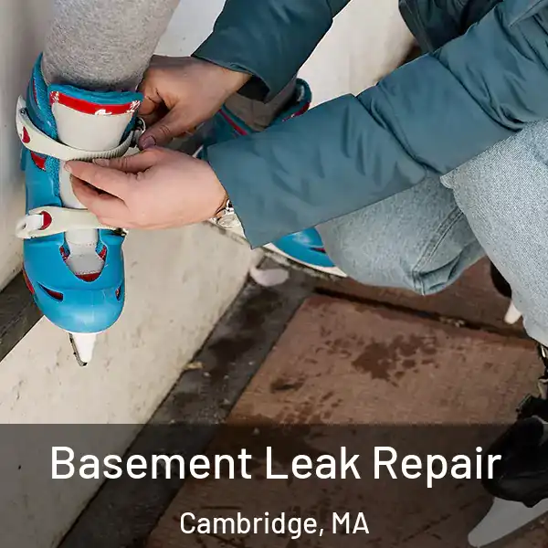  Basement Leak Repair Cambridge, MA