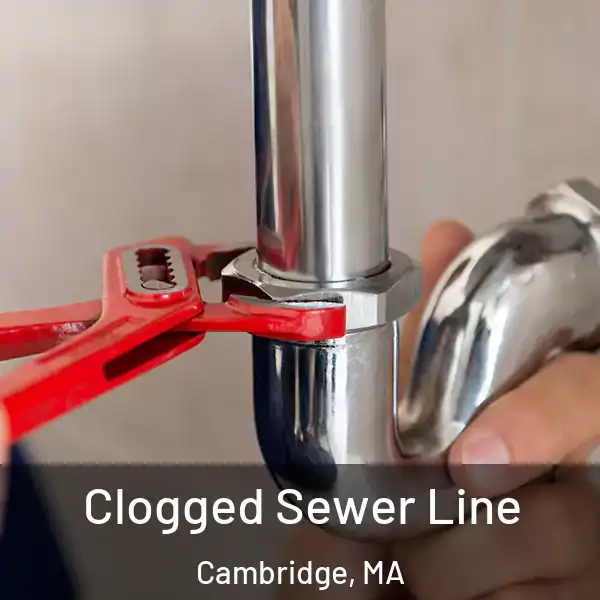  Clogged Sewer Line Cambridge, MA