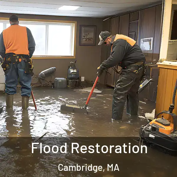 Flood Restoration Cambridge, MA