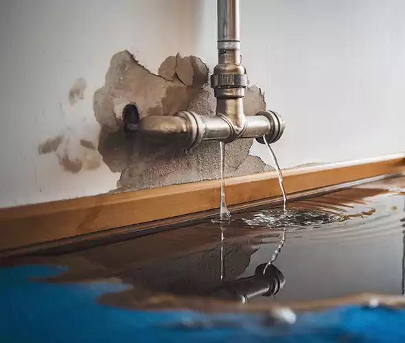 Professional Water Damage Restoration Experts in Cambridge, MA — Fast, Reliable & Certified
