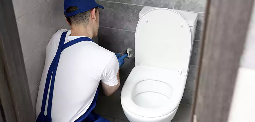 Toilet Lid Replacement in Cambridge