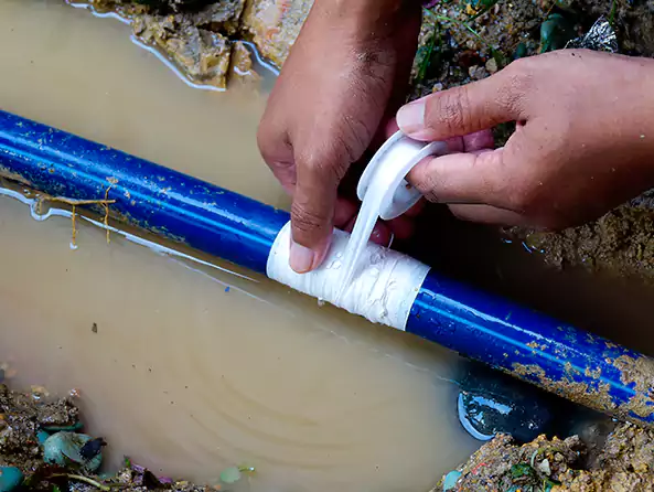  Why Choose Eagle Plumbing Cambridge for Leak Detection in Cambridge, MA?]