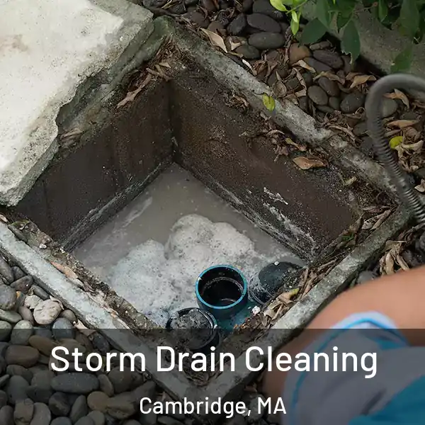  Storm Drain Cleaning Cambridge, MA