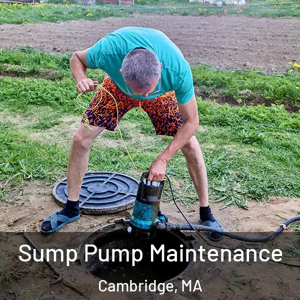  Sump Pump Maintenance Cambridge, MA