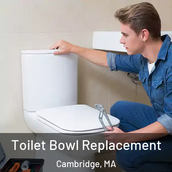  Toilet Bowl Replacement Cambridge, MA