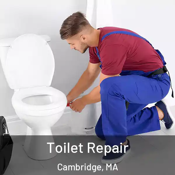  Toilet Repair Cambridge, MA