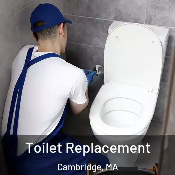  Toilet Replacement Cambridge, MA