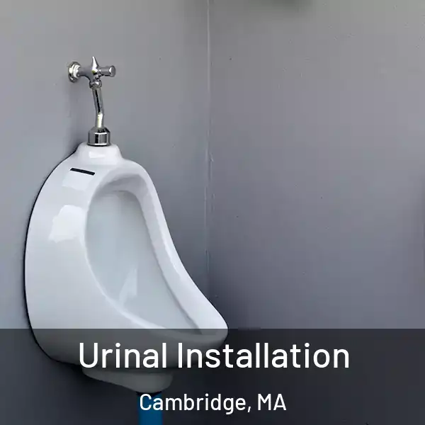  Urinal Installation Cambridge, MA
